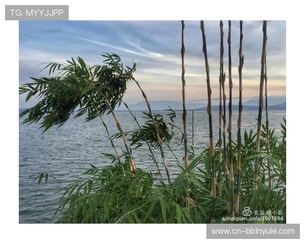 bbin导航平台官方入口地址,确保每位玩家都能安全顺利进入心仪的游戏平台 bbin导航平台官方入口地址,确保每位玩家都能安全顺利进入心仪的游戏平台