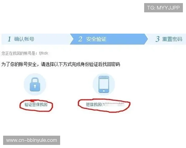 宝盈官网首页登录遇到问题怎么办，详细解决方案帮助用户顺利登录