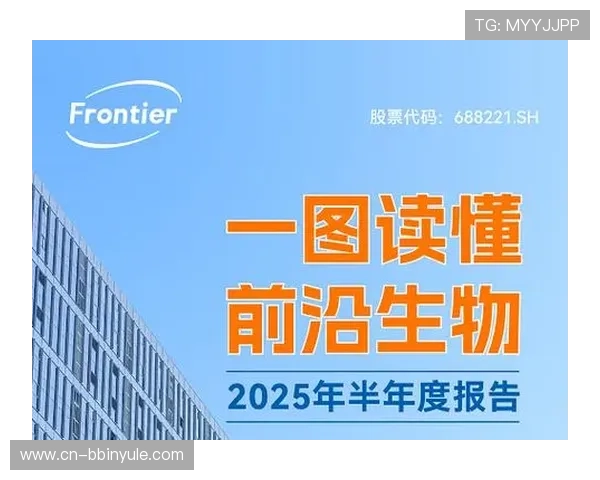 宝盈集团在bbin行业中的合规经营策略与风险控制措施
